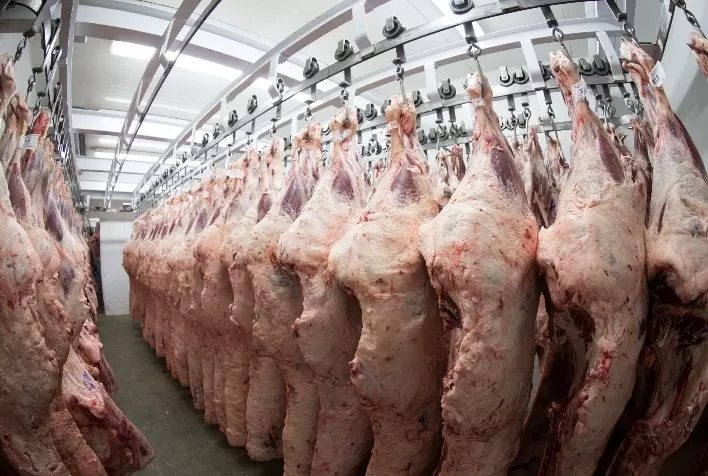 Carcaça bovina — frigorífico de bovinos